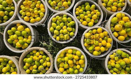 Lemon Baskets Pattern Background from Above

Repeating pattern of lemon baskets photographed from above, creating a natural citrus texture background.