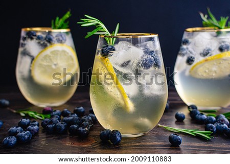Lemon Blueberry Vodka Spritzer Cocktails: Vodka cocktails garnished with lemon, blueberries, and rosemary