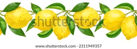 Lemon branch seamless border fruit illustration, cute citrus watercolor jpeg repeat digital file on a white background