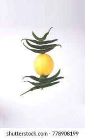 Lemon Chilies Tied With Thread And Tied For Hanging On Doors At Home OR Shop To Avoid Any Bad Fortune Also Known As Totka Or Nazar Battu