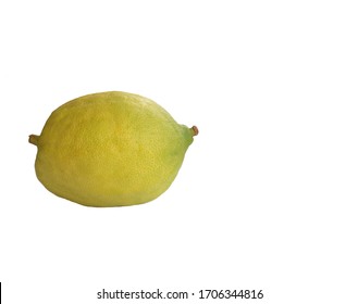 Lemon Or Etrog Religious Jewish Holiday