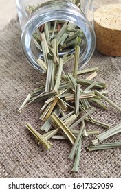 Lemon Grass (Cymbopogon Citratus, Capim Limao, Santo). Pile Of Dried Lemongrass. Dried Sprigs Of Natural Lemongrass, Dried Herb, Herbal Medicine. Selective Focus, Closeup