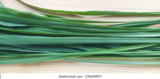 Lemon Grass (Cymbopogon Citratus, Capim Limao, Santo). Pile Of Fresh Lemongrass. Sprigs Of Natural Lemongrass, Fresh Herb, Herbal Medicine. Selective Focus, Closeup