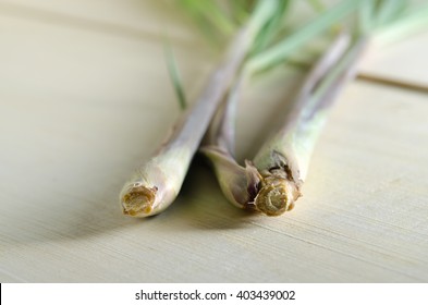 301 Grass luisa Images, Stock Photos & Vectors | Shutterstock