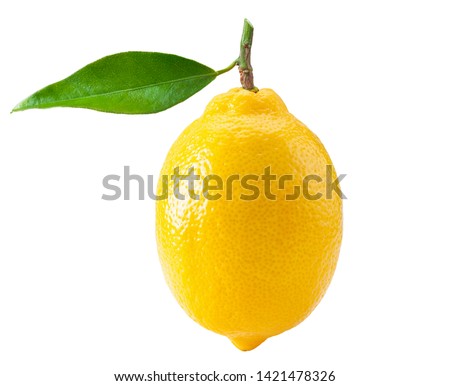 Lemon with green leaf isolated on white background, clipping path