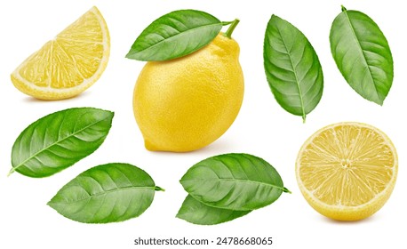 Lemon and green leaves isolated on white background. Clipping path lemon. Lemon collection macro studio photo
