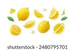Lemon has water drop with lemon slices and flower collection isolated on white background. Clipping path.