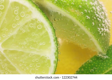 Lemon And Lime Slices In Tonic Water