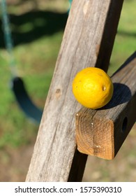 Lemon On A Wood Swingset With Green Grass