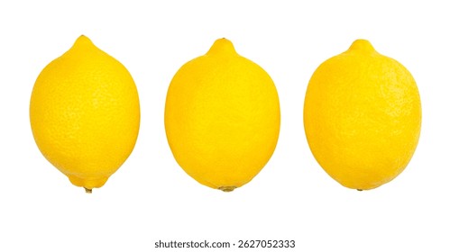 lemon path isolated on white