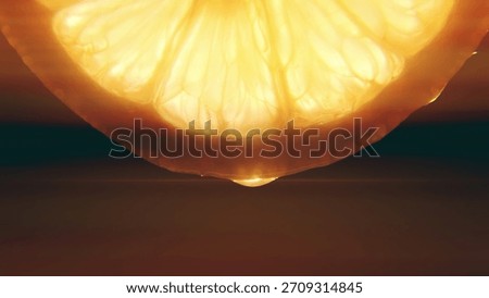 Lemon slice drop juice backlit illuminating macro