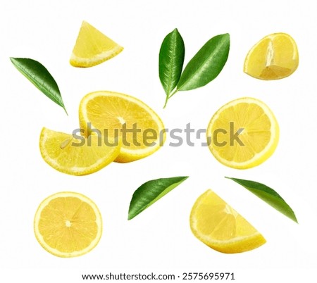 Lemon slices composition isolated on white. Yellow citrus pieces decorated with leaves. Decor element, set of objects, collage.
