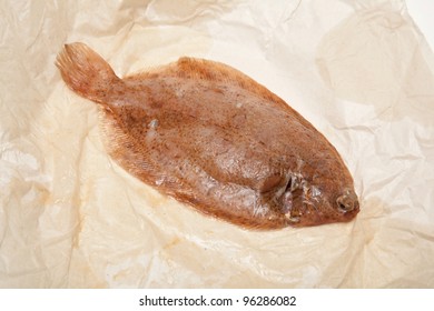 Lemon Sole Fish