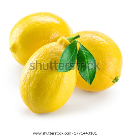 Lemon. Three fruit with leaves isolated on white. Whole lemons on white. Lemon with zest for lemonade.