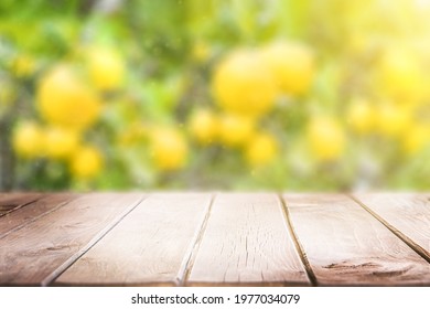 Lemon Tree Background With Wooden Empty Tabletop. Food Background.