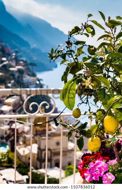 Lemon Tree Over Blurred View Positano Stock Photo (Edit Now) 1107836012