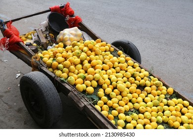 Lemon Vendor Cart In Casablanca, Biggest City In Morocco. Food Market Fruit Seller Cart.