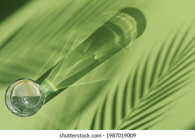 Lemon Water And Palm Tree Shadow On Green Background With Shadows