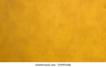 Download Leather Yellow Images Stock Photos Vectors Shutterstock Yellowimages Mockups