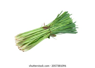 6,919 Citronella Stock Photos, Images & Photography | Shutterstock