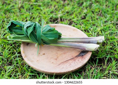 Lemongrass Leaves Cymbopogon Citratus