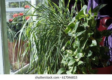 Rug In Room Stock Photos Nature Images Shutterstock