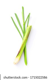 lemongrass plant top view on white background , flat lay.
