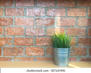 Lemongrass in Pot beside Brick Wall