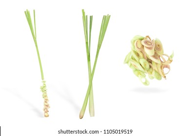 Lemongrass White Isolated Background,closeup