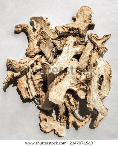 lempuyang roots or ginger root, cut and dry (zingiber zerumbet) in grey background 