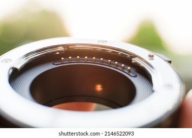 Lens adapter details in soft sunlight