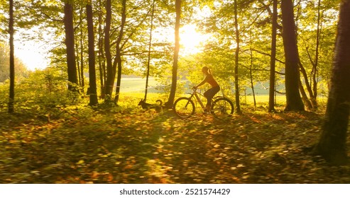 LENS FLARE: Active lady and her dog biking through a lush vibrant forest, with sunlight filtering through the trees, creating a peaceful and motivating atmosphere for outdoor fitness and adventure.