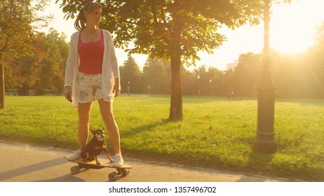 LENS FLARE: Cheerful Caucasian girl and cute puppy riding a high tech electric longboard through the sunlit park. Cool shot of senior dog and its owner skateboarding on a sunny summer afternoon.
