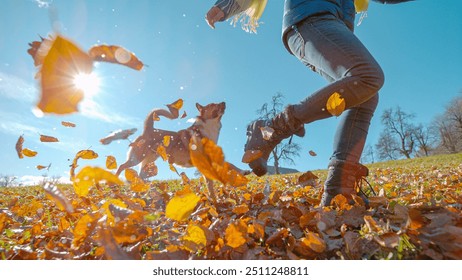 LENS FLARE, LOW ANGLE VIEW: Woman and her playful doggo run through flying golden autumn leaves in a beautiful park. Genuine bond between pet and owner, enjoying a sunny day in fall season together. - Powered by Shutterstock