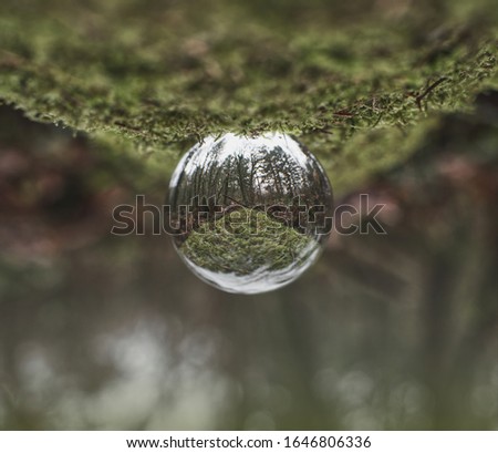 Similar – Foto Bild Ein Blick durch die Glaskugel