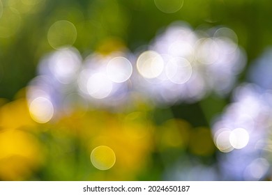 lensflares, blurred bokeh lights in white, yellow and green for webdesign, backgrounds, compositions and overlays