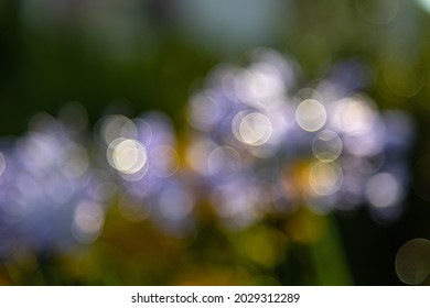 lensflares, blurred bokeh lights in white for webdesign, backgrounds, compositions and overlays