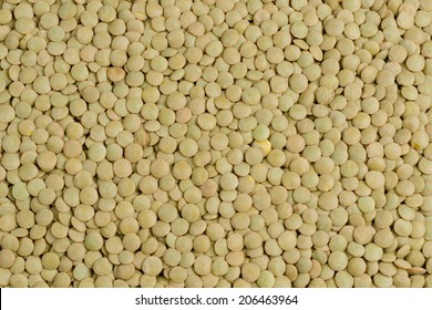 Lentils, Background