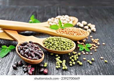 Lentils, mung beans, chickpeas and ruby haricot in spoons and on the table, oregano leaves on a dark wooden board background