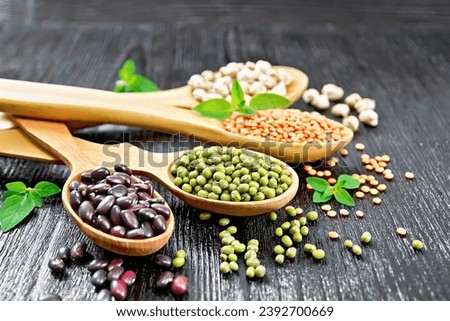 Lentils, mung beans, chickpeas and ruby haricot in spoons and on the table, oregano leaves on a dark wooden board background