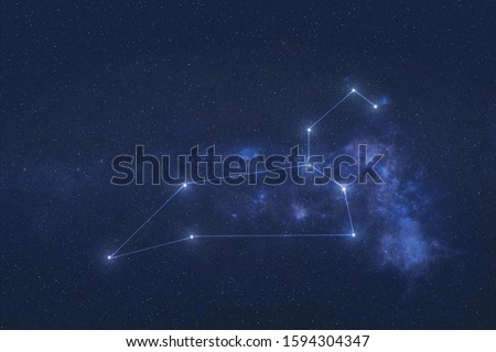 Leo Constellation stars in outer space. Zodiac Sign Leo constellation lines. Elements of this image were furnished by NASA  Foto stock © 