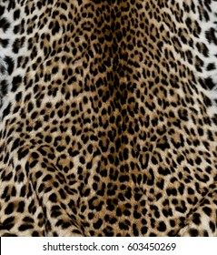 Leopard Fur