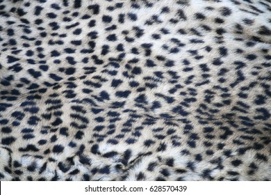 Leopard Fur