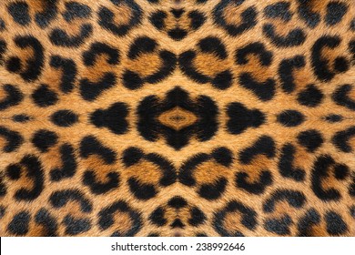 17,392 Leopard fur coat Images, Stock Photos & Vectors | Shutterstock