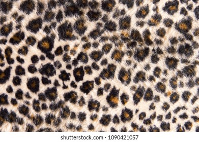Leopard fur texture background.