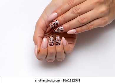 Leopard Manicure On Long Oval Nails Close-up On A White Background. Pink Pearlescent Manicure.	