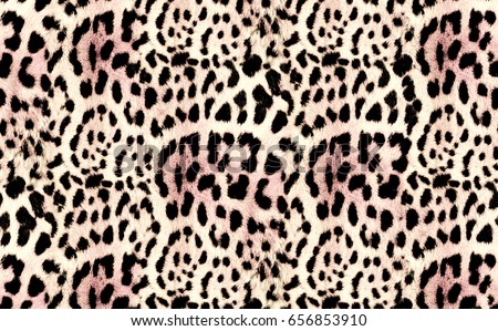 Leopard nature