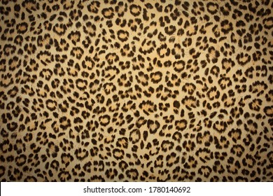 leopard skin background texture, real fur retro design, close-up wild animail hair modern beauty in nature - Powered by Shutterstock