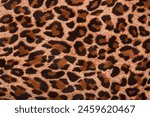 leopard skin colour textured pattern. An animal print leather texture 