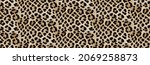 Leopard Skin Texture Pattern print